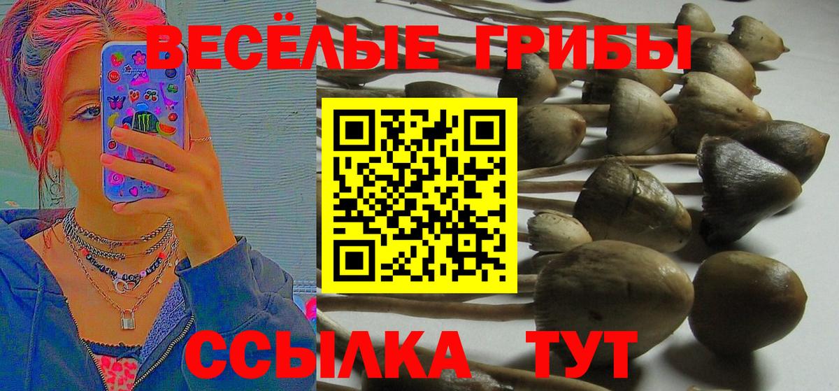 Псилоцибиновые грибы Cubensis  что такое   Октябрьский  Вход с VPN 